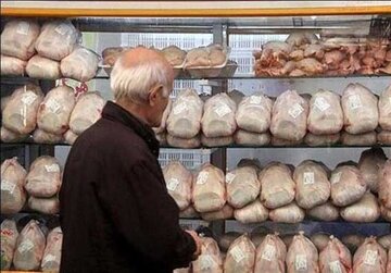 سرانه مصرف مرغ در کشور به 26 کيلو در سال رسيده است!