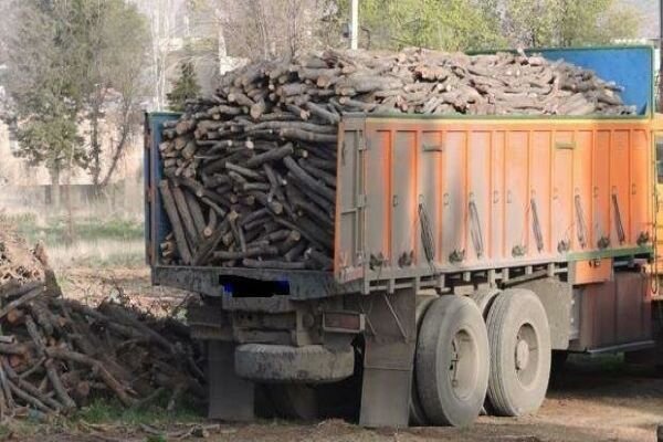 17 تن چوب قاچاق در تبريز کشف و توقيف شد