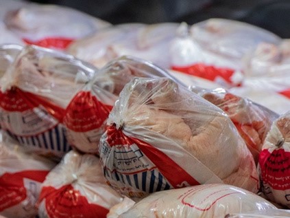 کاهش 20 تا 30 درصدي توليد مرغ