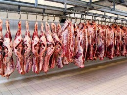صدور مجوز واردات 250هزار تن گوشت قرمز براي تنظيم بازار