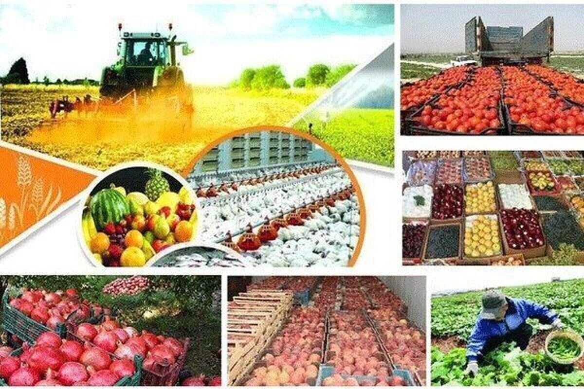 رشد 23 درصدي صادرات محصولات غذايي و کشاورزي
