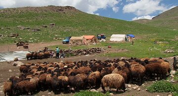 آغاز کوج عشاير به مراتع سهند
